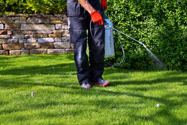 Best Lawn Pest Control  in Urbana, IL